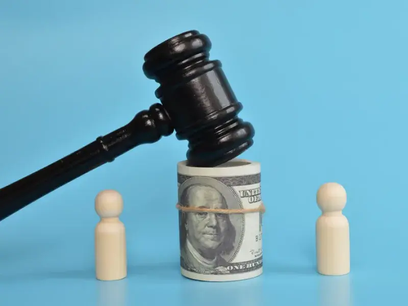 Professional Maximum Bid Strategy Guidance process